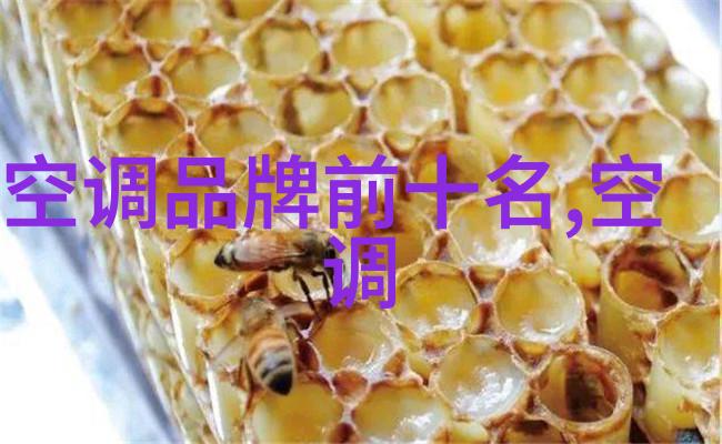 缅甸启用货物运输监控系统