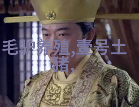二手房神变身成为美式花园洋房只要20万就够了