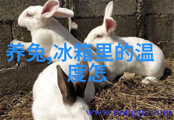 装修知识地板的安装步骤完全解读